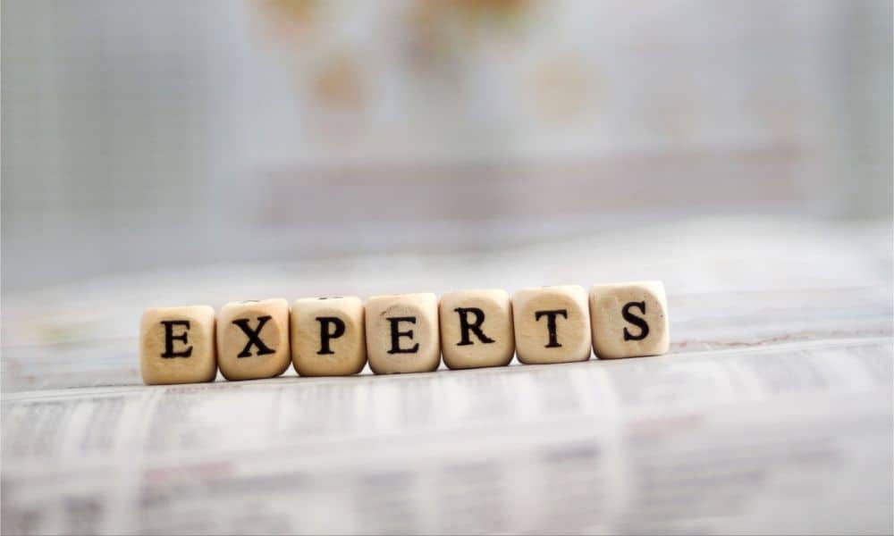 Seek expert opinions